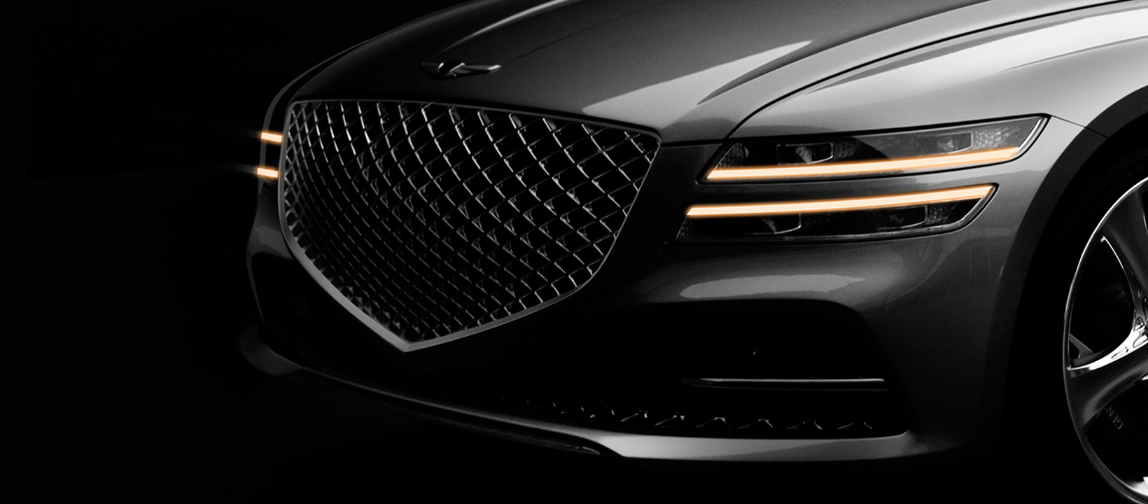 Calandre Distinctive Genesis