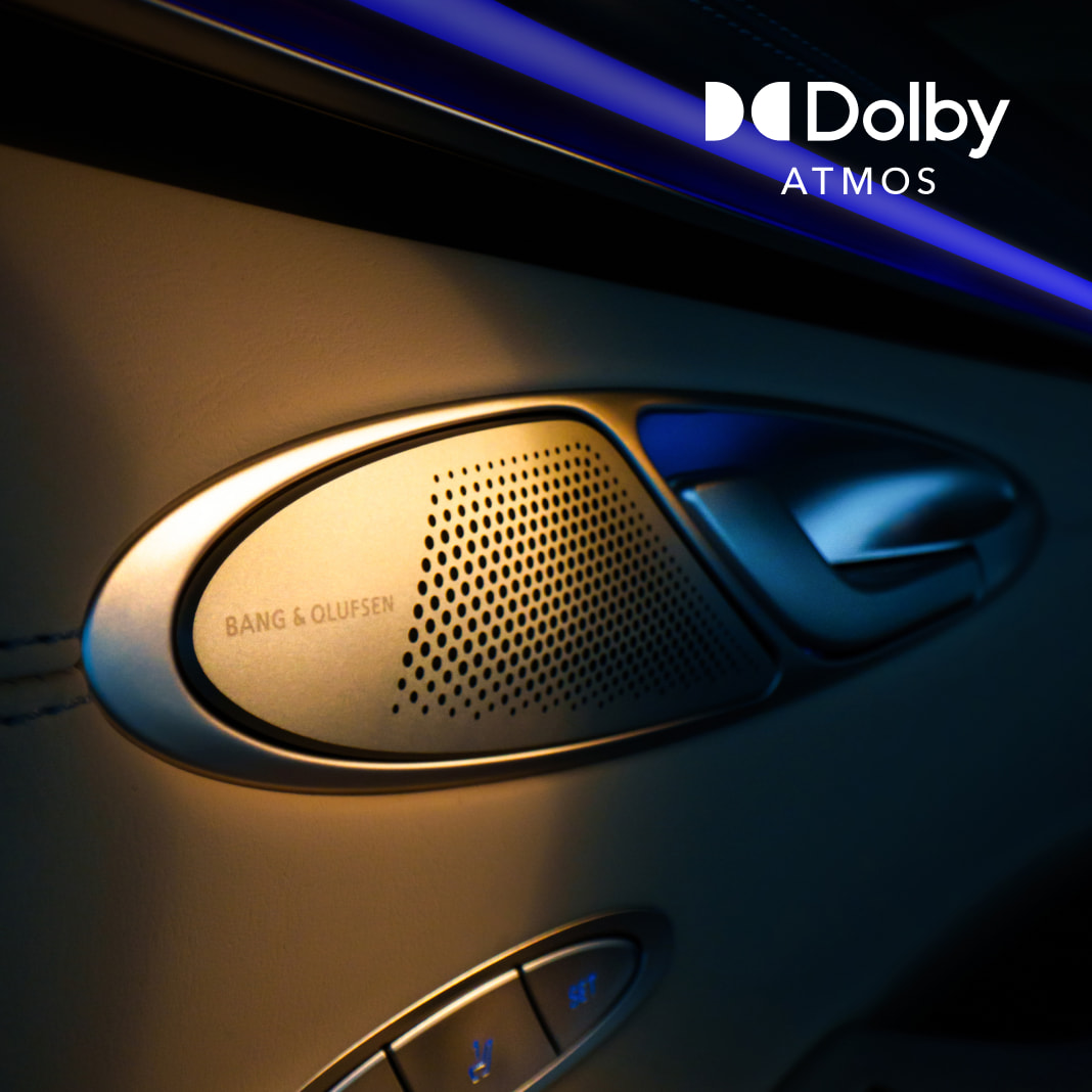 A view of the door's built-in speaker.