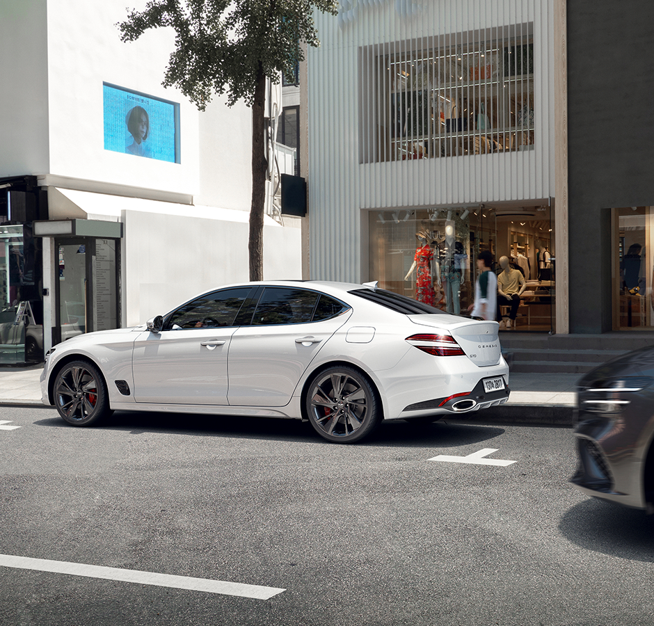 genesis-g70-safety-sew-large.jpg