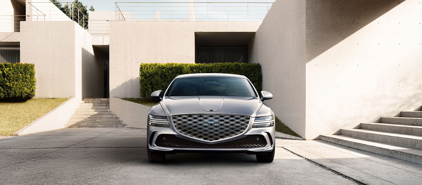 Genesis Crest Grille