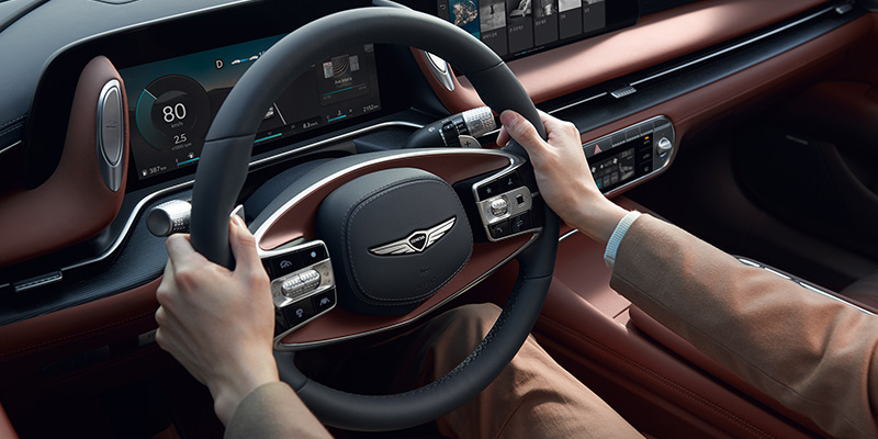 Genesis G90 Driver's seat handle
